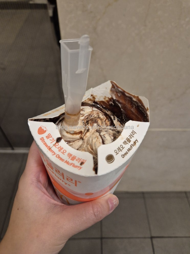  맥도날드 맥플러리 아이스크림 초코콘 단종 강남역 패스트푸드 디저트 대기하느라 점심시간 다보내기