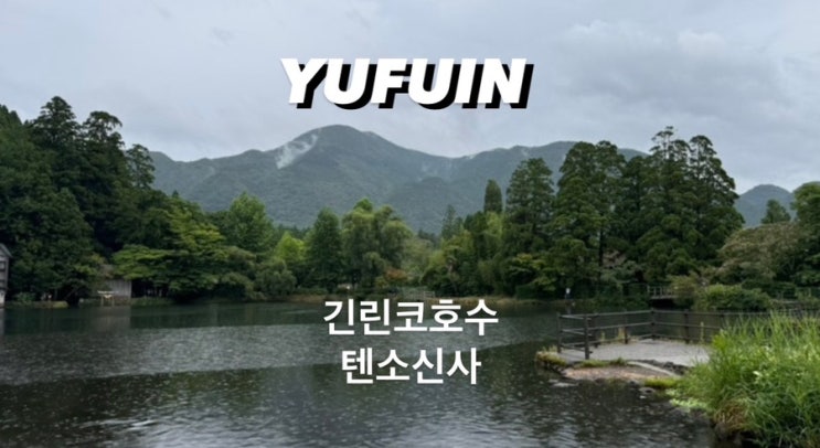  ) 유후인 필수 코스 킨린호수 긴린코호수 텐소신사