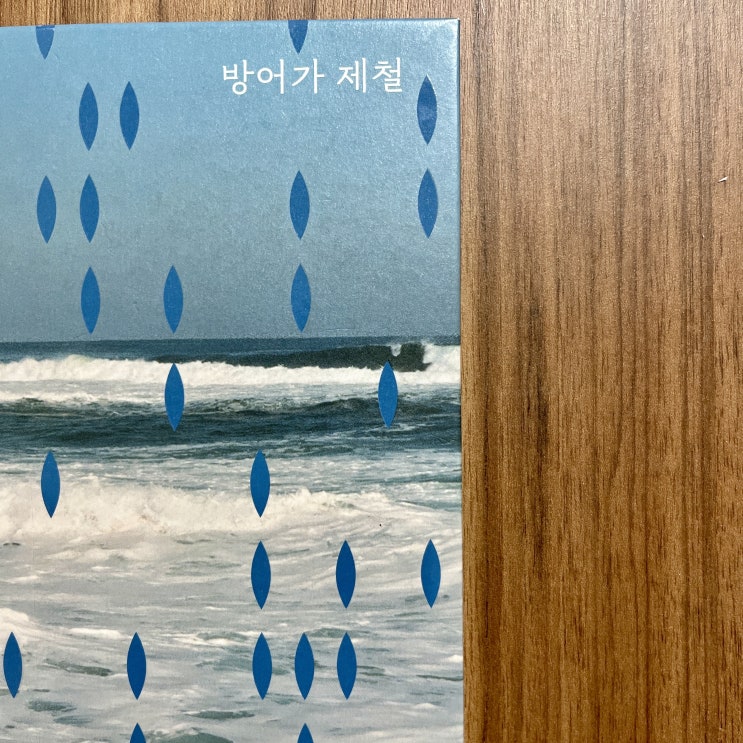 07. 방어가 제철 - 안윤