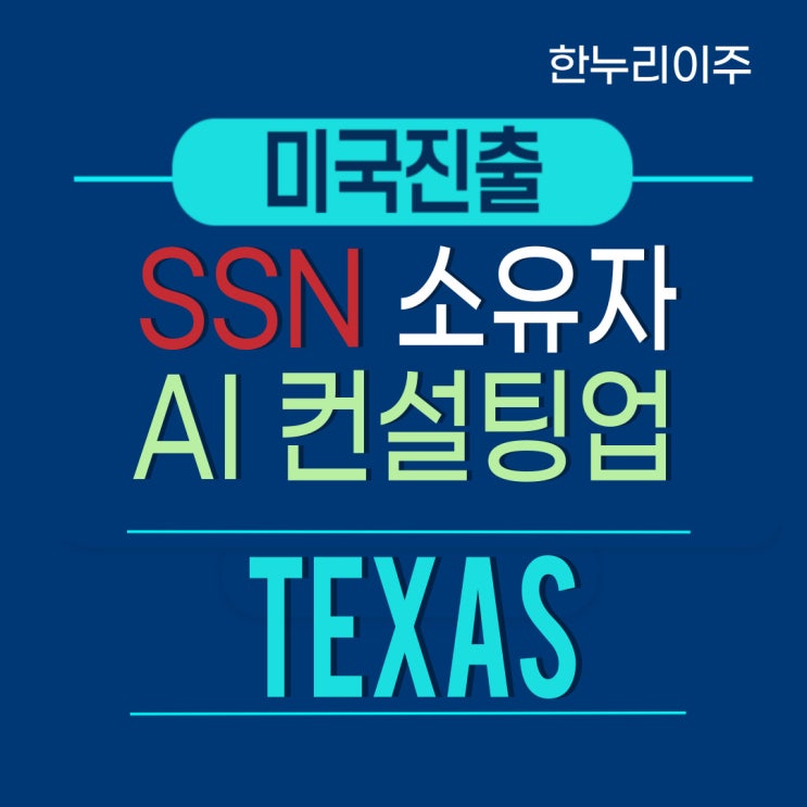  AI 컨설팅업의 시작  SSN 소유자의 텍사스 법인 설립