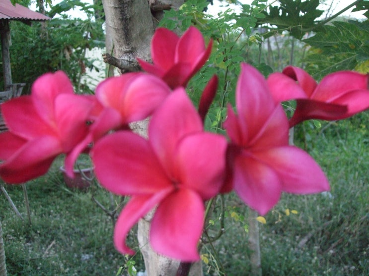 北<b>김정은</b> 보스토치니 회담 1주년에 <b>쇼이구</b> 접견 러시아와 <b>협력</b>... 