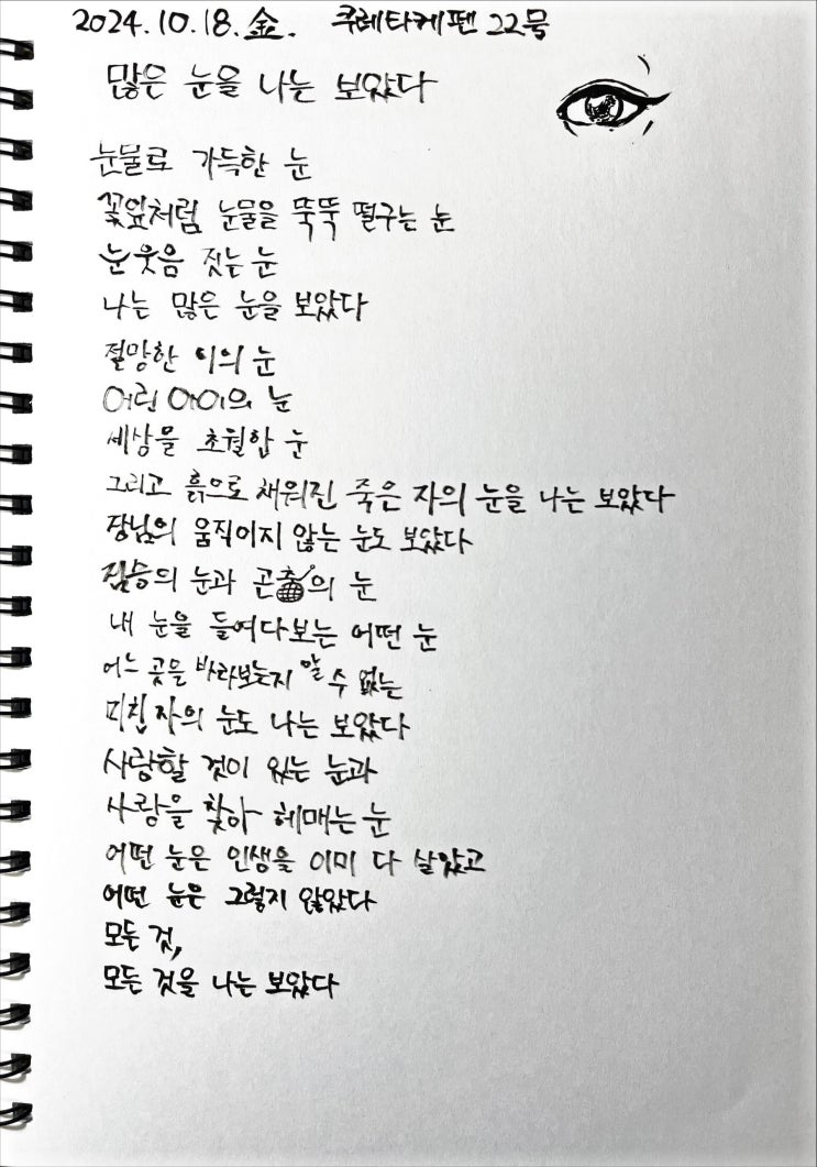  [필사] 많은 눈을 나는 보았다-류시화