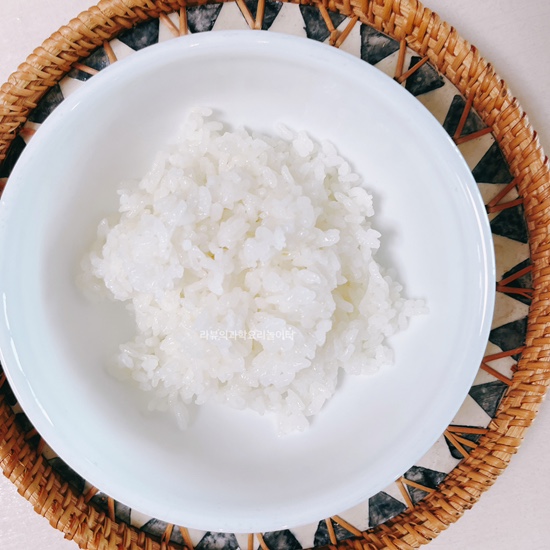  냄비 밥 맛있게 하는 법 원리 돌솥밥 만들기 레시피 무쇠솥밥 냄비 밥 일본식 쌀 불리기 물양 시간