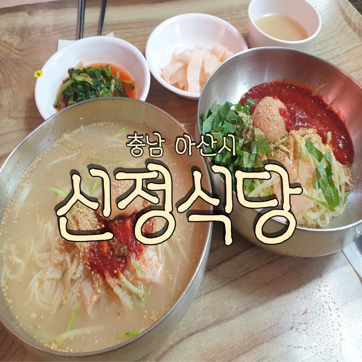  생활의달인 허영만의백반기행 쯔양도 다녀간 아산 노포 밀면 맛집 신정식당