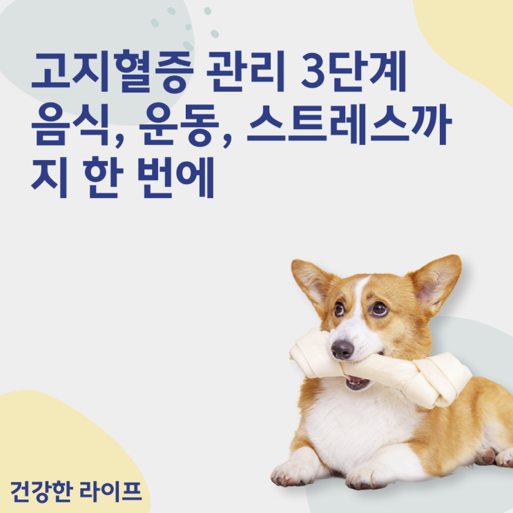  고지혈증 관리 3단계: 음식, 운동, 스트레스까지 한 번에