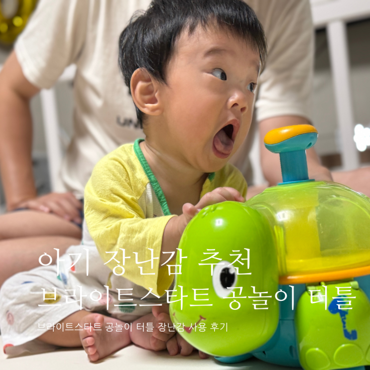 브라이트스타트 공놀이 터틀 아이 장난감 추천 브라이트스타트 거북이 브라이트스타트 공놀이 터틀 아이 장난감 추천 브라이트스타트 거북이