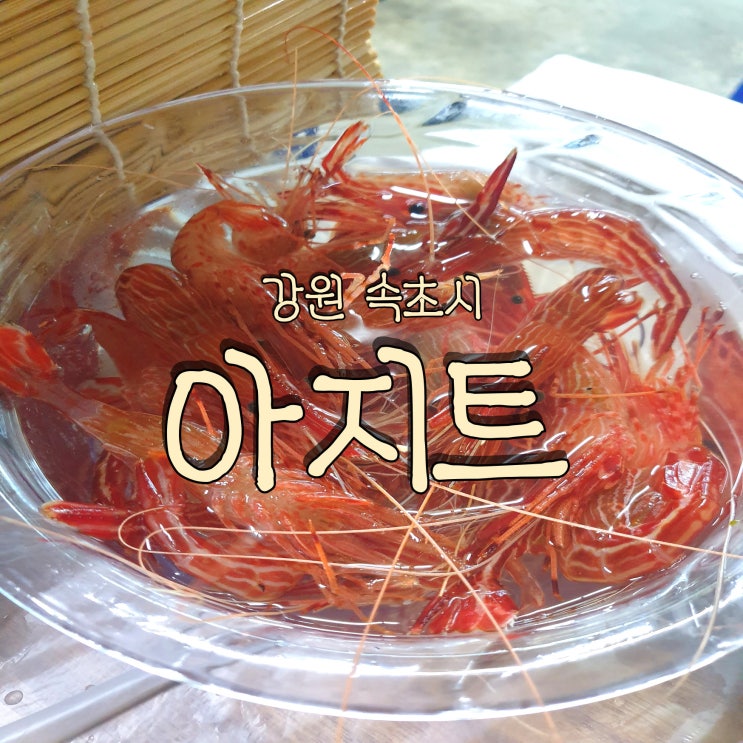  속초 동명항 포장마차거리 신선한 꽃새우를 저렴하게 판매하는 전현무계획 속초편 아지트