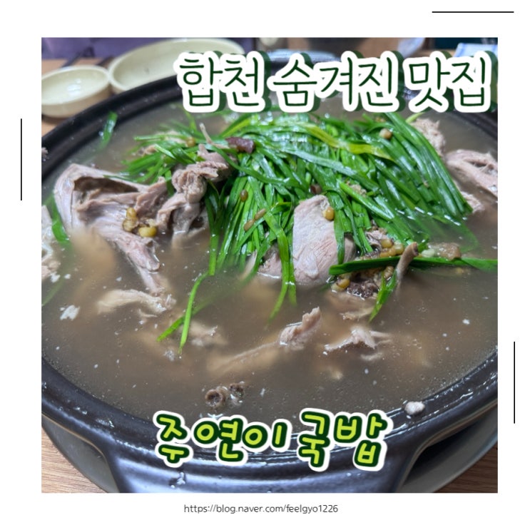  합천 맛집 현지인맛잘알 추천메뉴 황칠한방오리백숙 주연이국밥
