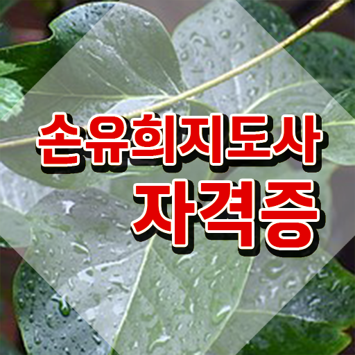  2급손유희지도사아카데미 , 손유희지도사 자격증 온라인으로 쉽게 합격한 후기 , 활용 방법