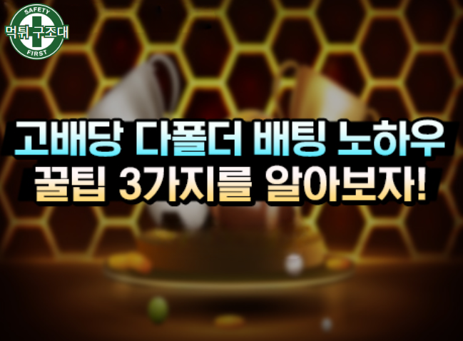  스포츠 고배당 다 폴더 배팅의 노하우
