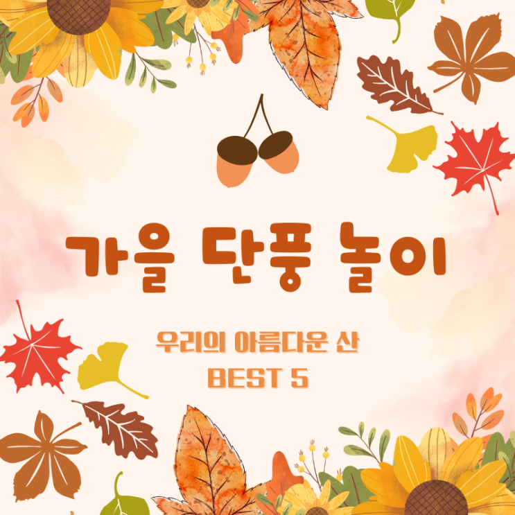  우리나라를 대표하는 단풍 구경 가기 좋은 단풍놀이 명소 우리의 아름다운 산 BEST 5