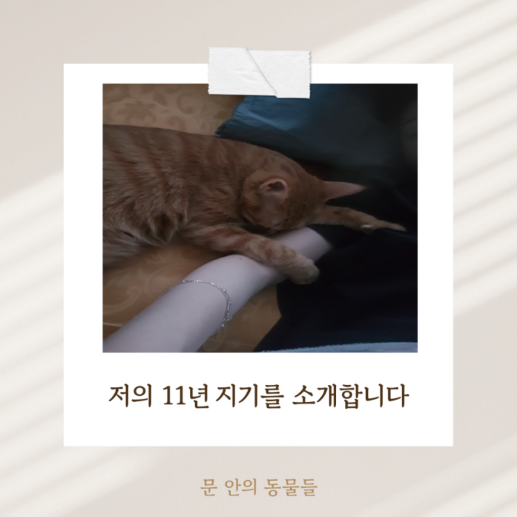  어릴 적부터 이어져온 동물 사랑, 그리고 책임감의 무게
