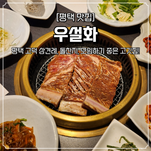  평택 고덕 맛집 우설화 상견례 회식 장소 추천 점심 후기