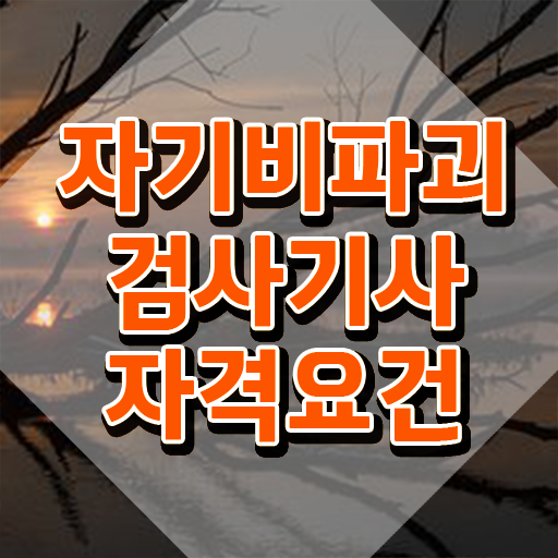  자기비파괴검사기사 필기문제 , 자기비파괴검사기사 취득한 과정 및 온라인 과정