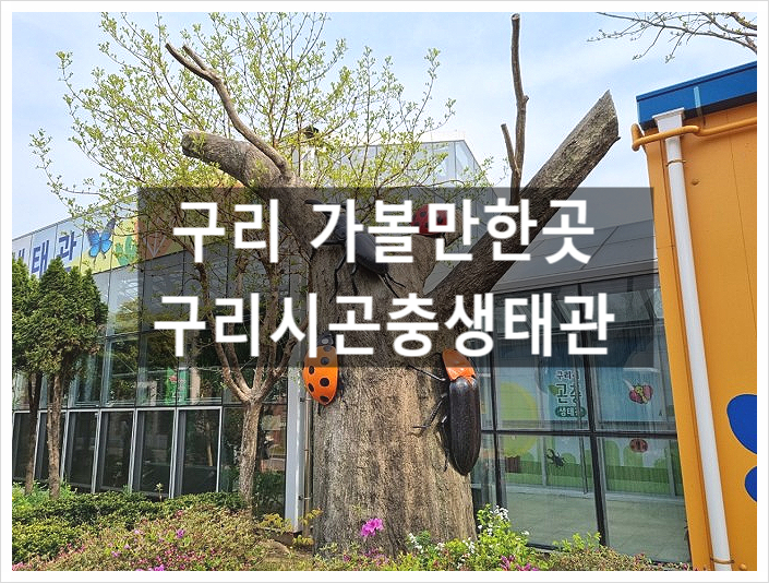 구리 가볼만한곳 구리시곤충생태관 자원곤충 특별전 일정 어린이체험
