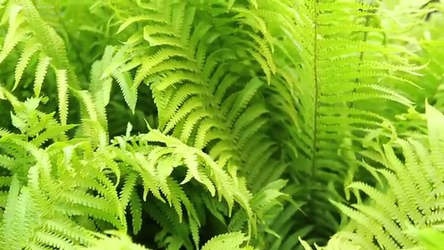  노인 심리 치료사 , 노인심리상담사 자격증 온라인으로 취득했던 후기 및 채용 정보