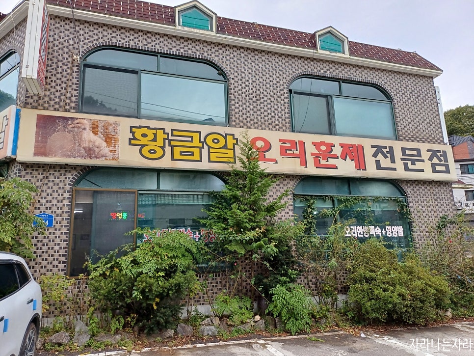 황금알 사진 2