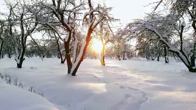  부동산경매컨설팅 , 한달 만에 부동산권리분석사자격증 공부한 방법