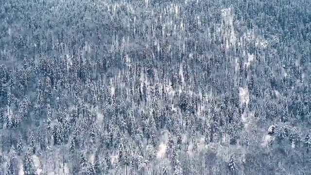  광학기기산업기사 응시자격 온라인 과정으로 간편하게 준비한 노하우
