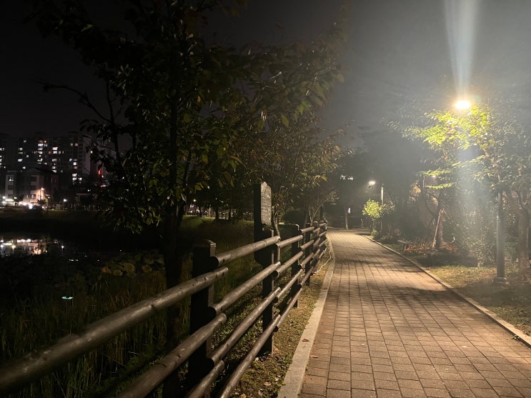  저녁러닝 훈련에 좋은 구리이문안호수공원만의 매력. 10km 오운완