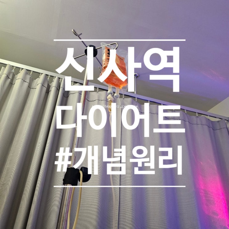  [신사역] 내장지방을 줄여주는 "개념원리 다이어트 프로그램" 신사역다이어트병원 1, 2차 방문