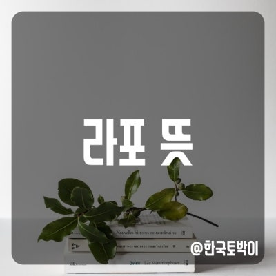  라포 뜻, 라포 형성은 무엇일까?