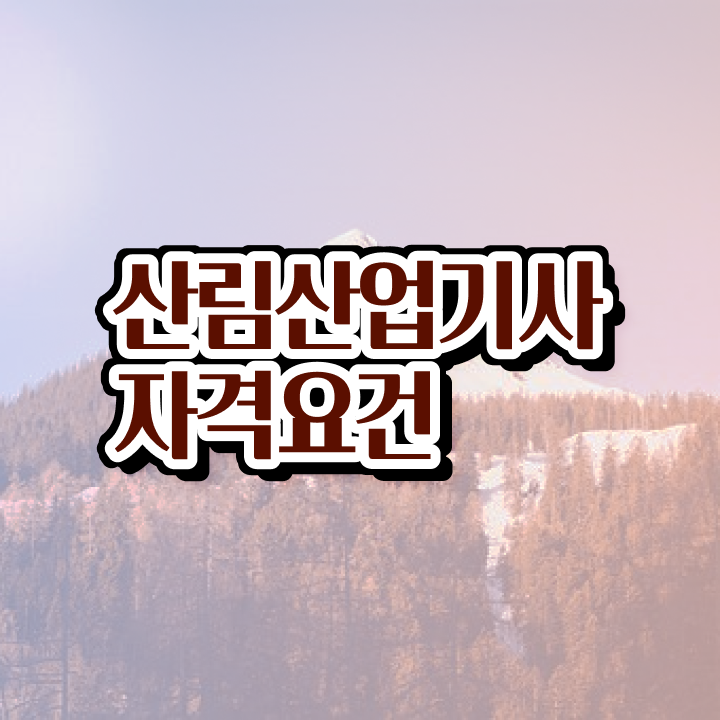  산림산업기사 필답 산림산업기사 시험응시자격 독학으로 쉽고 빠르게 성공한 과정