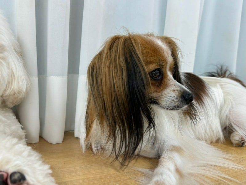 사진 3