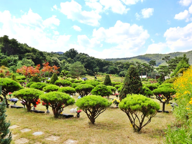  용인 묘지 장지 조건 좋은 시설