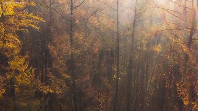  사회복지사합격 후기 , 사회복지사2급 고졸자도 학점은행제 활용하여 손쉽게