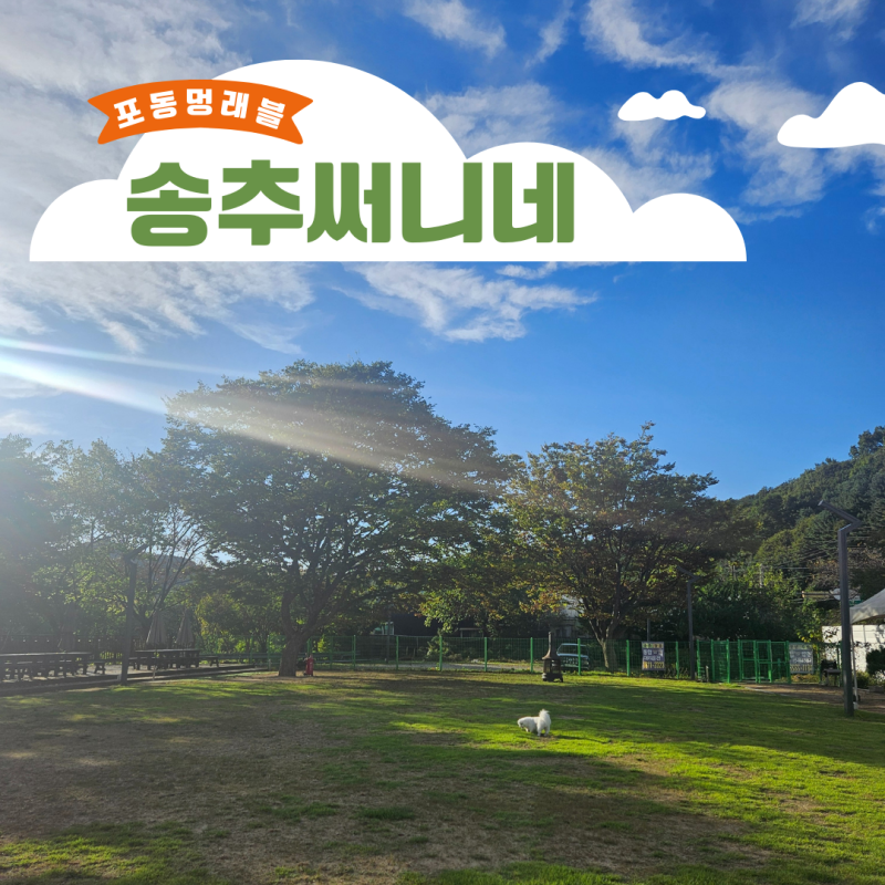 송추써니네