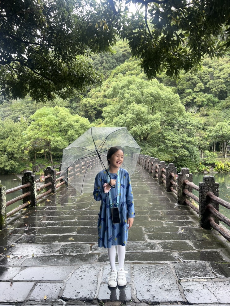  [제주여행]20M의 웅장한 천지연폭포 앞에서 속상