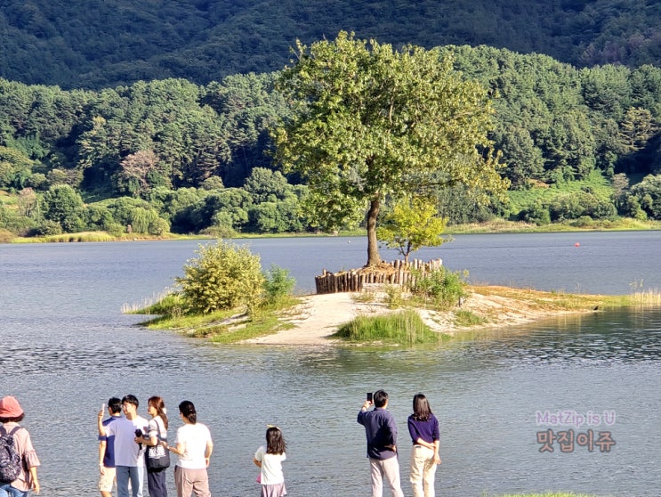  대전여행 대청호 카페 메리골드, 명상정원, 산내돌짜장면