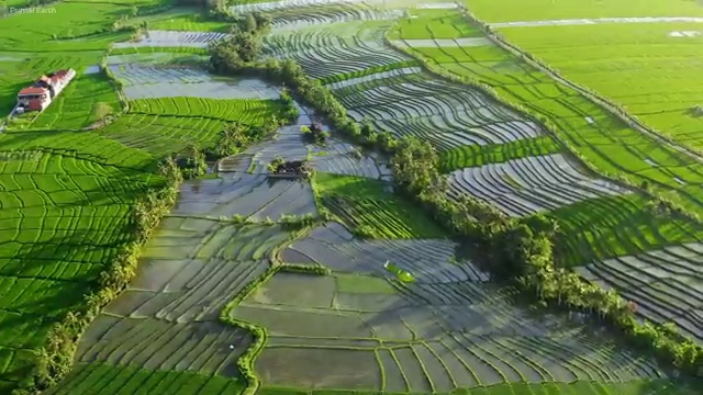 인천바리스타 국비지원 , 바리스타 자격증 독학으로 합격정보 , 구직정보