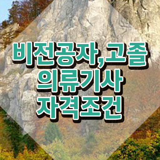  의류기사 자격요건 인강만 듣고 간단하게 성공한 전략