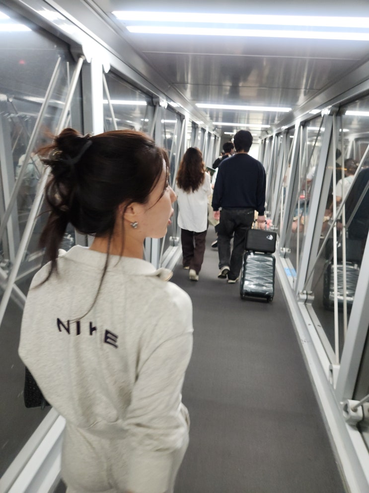  필리핀 보홀 자유여행 고래상어 스노쿨링