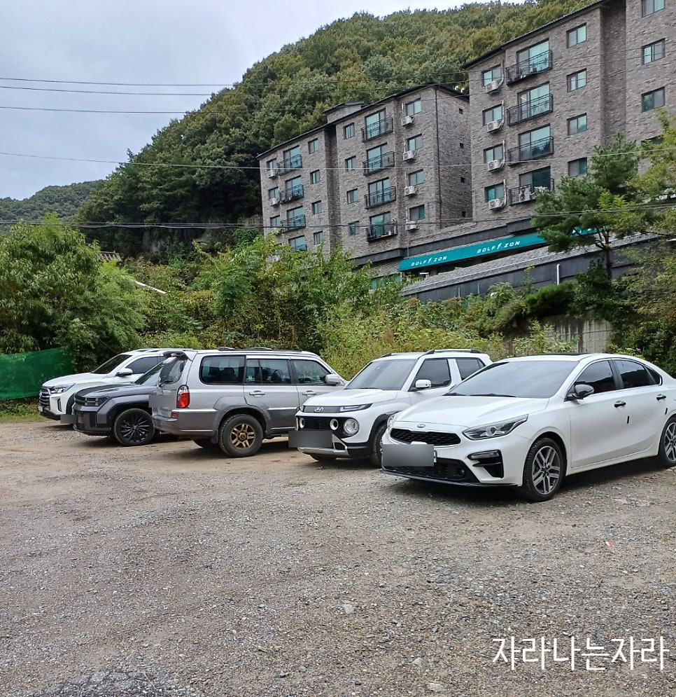 황금알 사진 5
