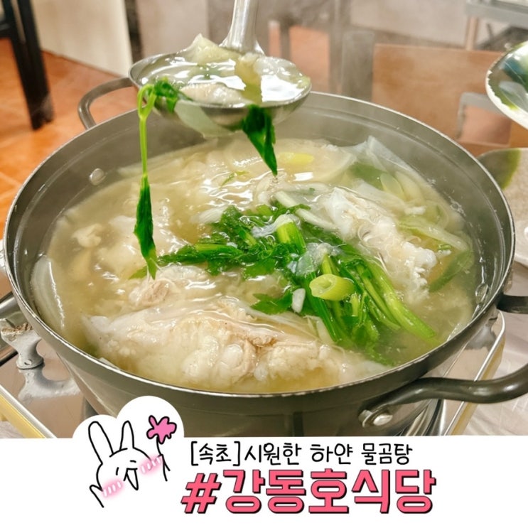  속초 해장맛집추천 '강동호 식당'백반기행에 나온 시원한 물곰탕