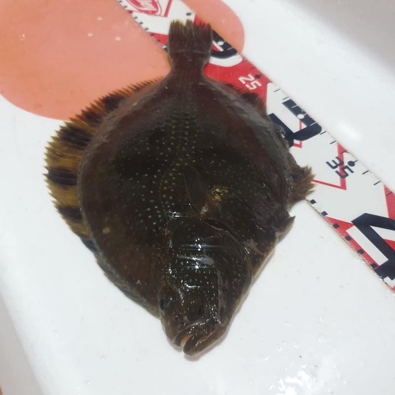 대구 실내낚시터 구지실내바다낚시터 (대구바다낚시, 이색데이트)