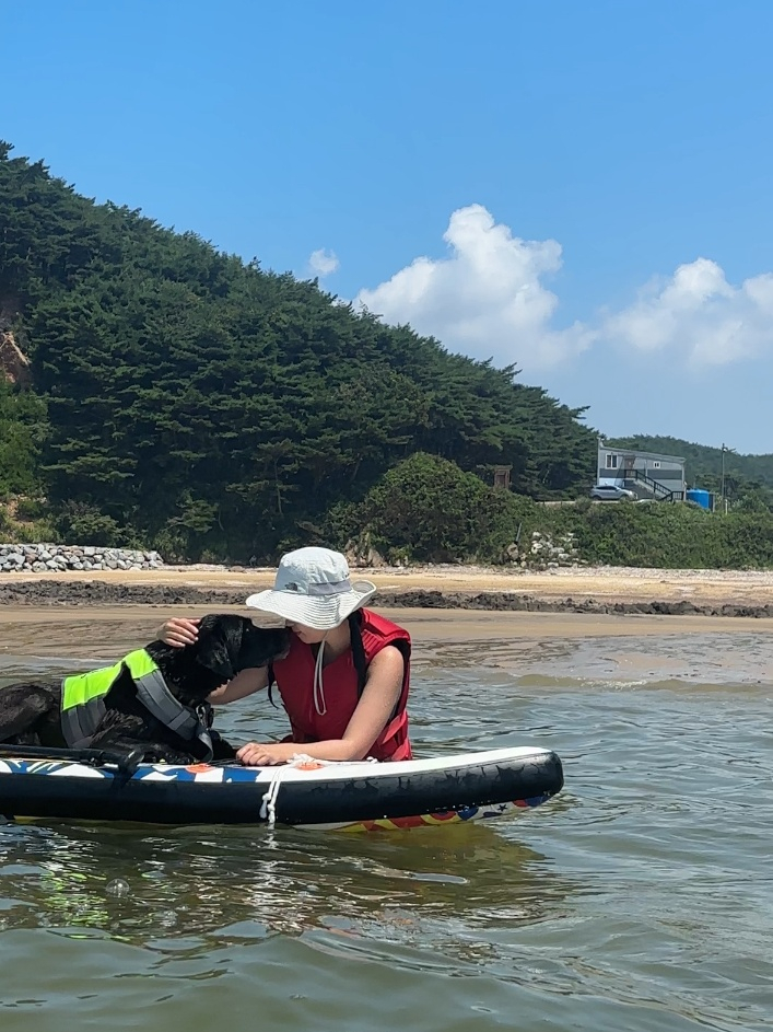  태안체험 소풍게스트하우스에서 반려견과 함께하는 패들보드 도전기