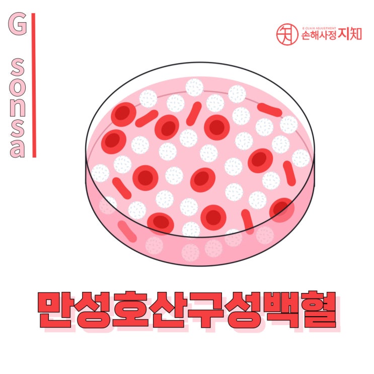  만성호산구성 백혈병(D47.5) 보험 청구, 남양주 손해사정사와 함께 성공적 진행하기