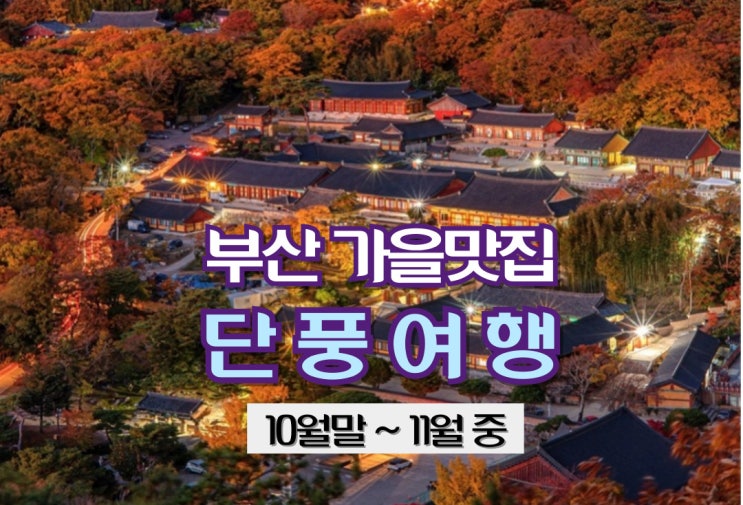  부산의 가을 단풍여행