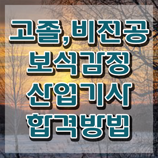  보석감정산업기사 전망 보석감정산업기사 자격요건 독학으로 간편하게 완료한 후기