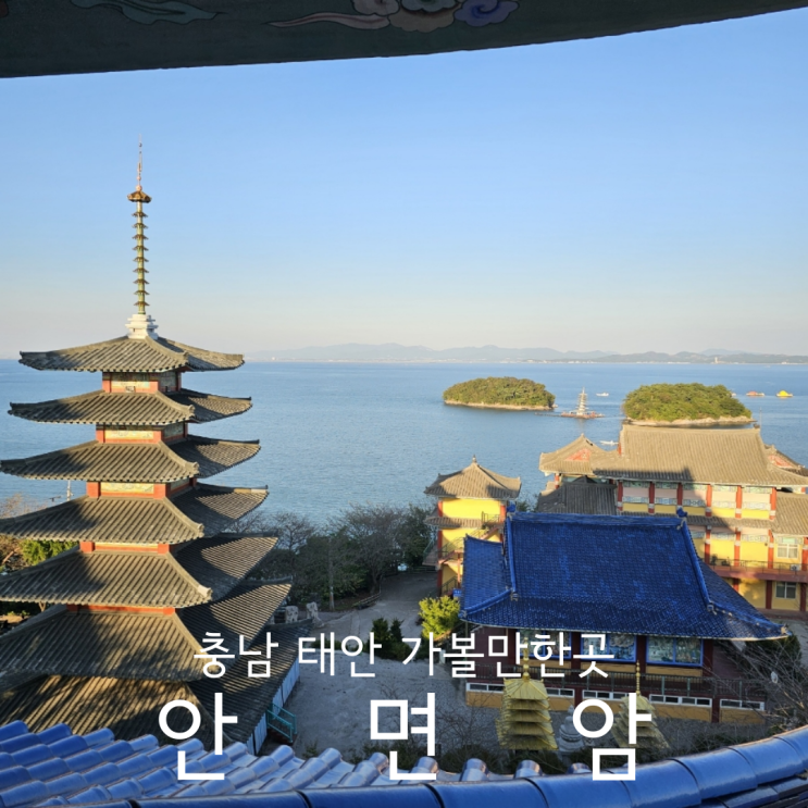  충남 태안 안면도 애견동반여행 가볼만한곳 안면암 사찰