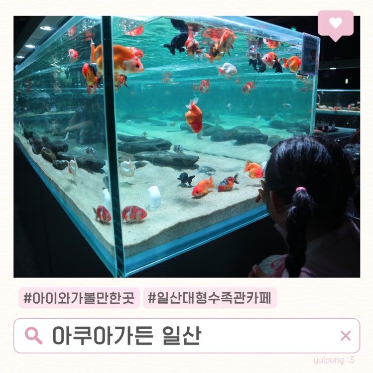  일산 대형수족관카페 아쿠아가든 아이와가볼만한곳