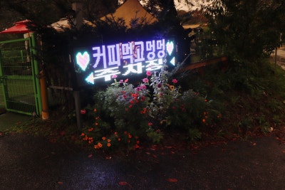 사진 5