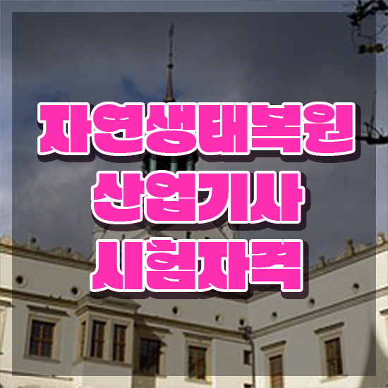  자연생태복원산업기사 응시조건 자연생태복원산업기사 응시조건 독학으로 간단하게 끝낸 비법