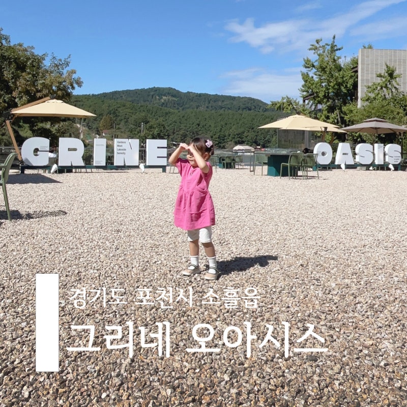 사진 5