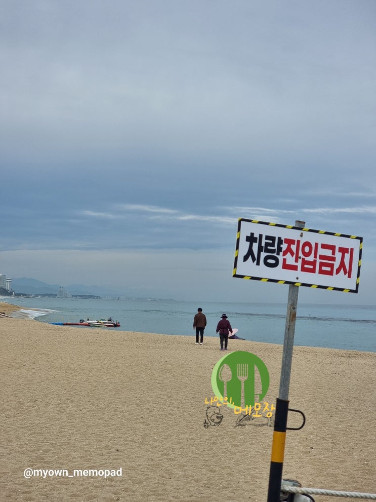  강릉 4박5일 힐링여행 안목해변 관광지 차박