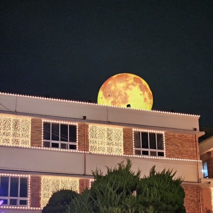  인천 개항장 문화 유산 야행, 축제 즐기기 